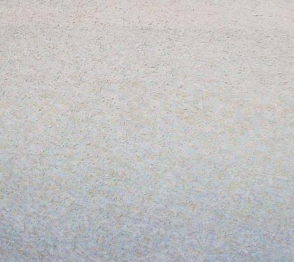 &quot;White on White&quot; by Leonard Nelson