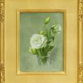 Oil on Linen Entitled "White Lisianthus" by Michael Stuart Traines