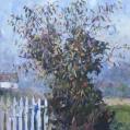 Acyrlic on Panel Entitled&quot; Persimmon Tree Cape, May Point &quot; by John Suplee